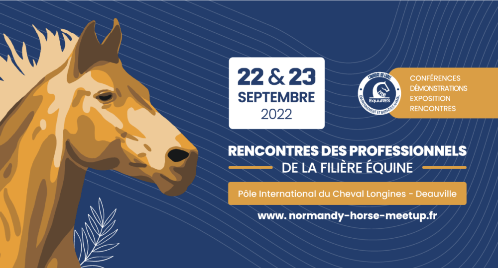 Normandy Horse Meet'Up, on vous dévoile le programme !