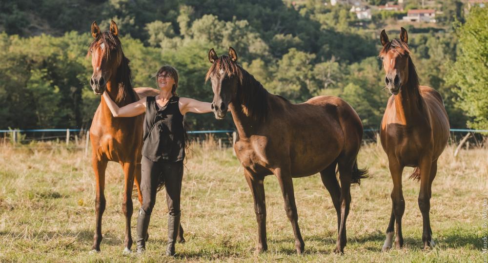 Le Centre Équestre Le Vergier, en Ardèche, renouvelle sa labellisation EquuRES à l’échelon Progression !