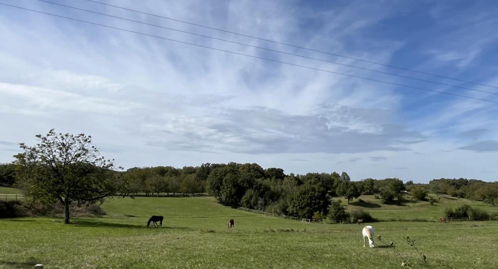 L'Élevage du Tavernier, en Occitanie, obtient sa labellisation EquuRES à l’échelon Engagement !