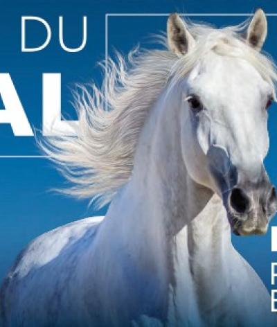 Le Salon du Cheval d'Angers se labellise à l'échelon engagement pour sa première édition