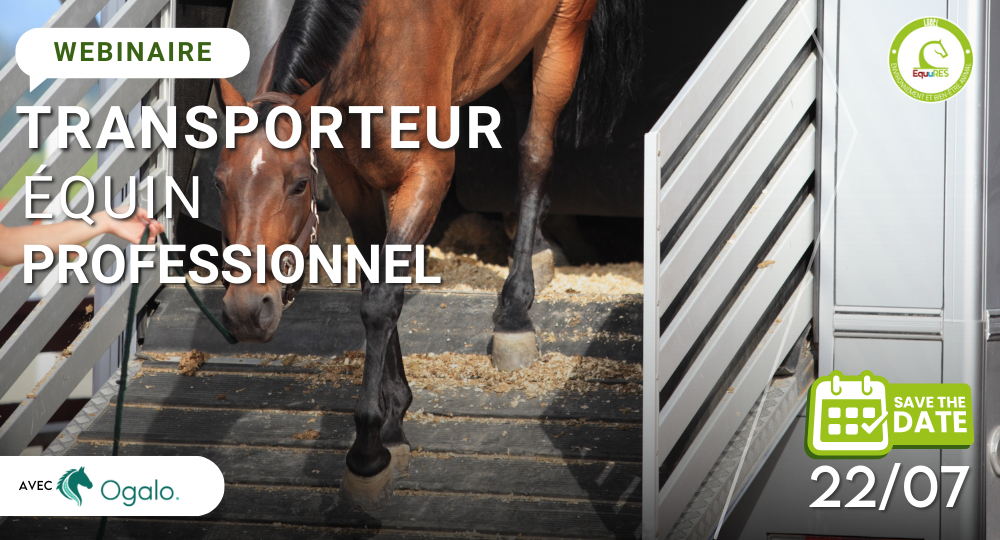 Webinaire : Faire transporter son cheval par un transport équin professionnel