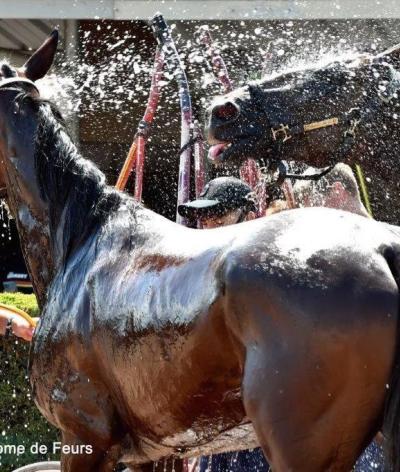 L'hippodrome de Feurs, dans le département de la Loire, renouvelle sa labellisation EquuRES