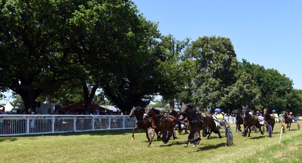 L'hippodrome de Plessé, dans le département de la Loire-Atlantique, se labellise EquuRES