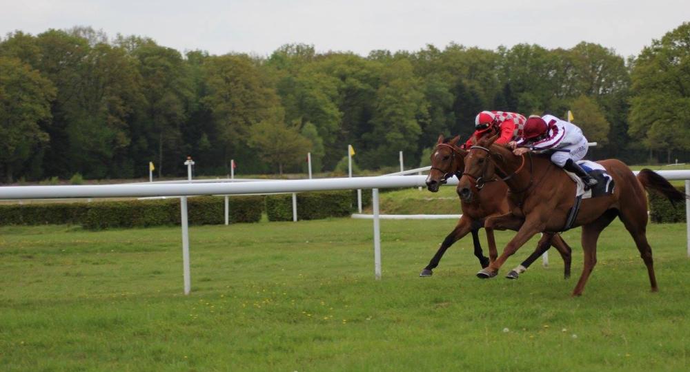 L'hippodrome du Haras du Pin se labellise EquuRES Progression pour son évaluation initiale