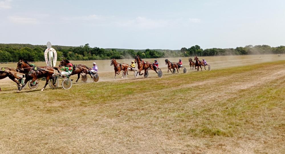 L'hippodrome de la Gacilly, dans le Morbihan, se labellise EquuRES bien-être animal et environnement