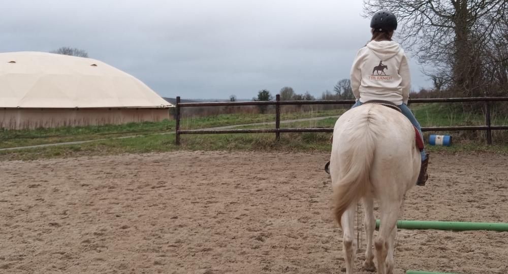 TIPI RANCH, écurie active située dans la Manche, renouvelle sa labellisation à l'échelon Progression !