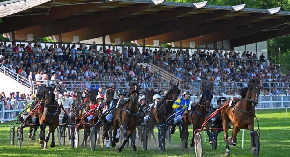 L'Hippodrome Saint-Jean de Mamers, dans l'Orne, obtient sa labellisation EquuRES à l'échelon Engagement !