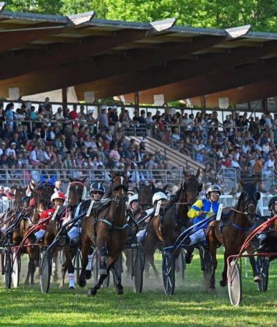 L'Hippodrome Saint-Jean de Mamers, dans l'Orne, obtient sa labellisation EquuRES à l'échelon Engagement !