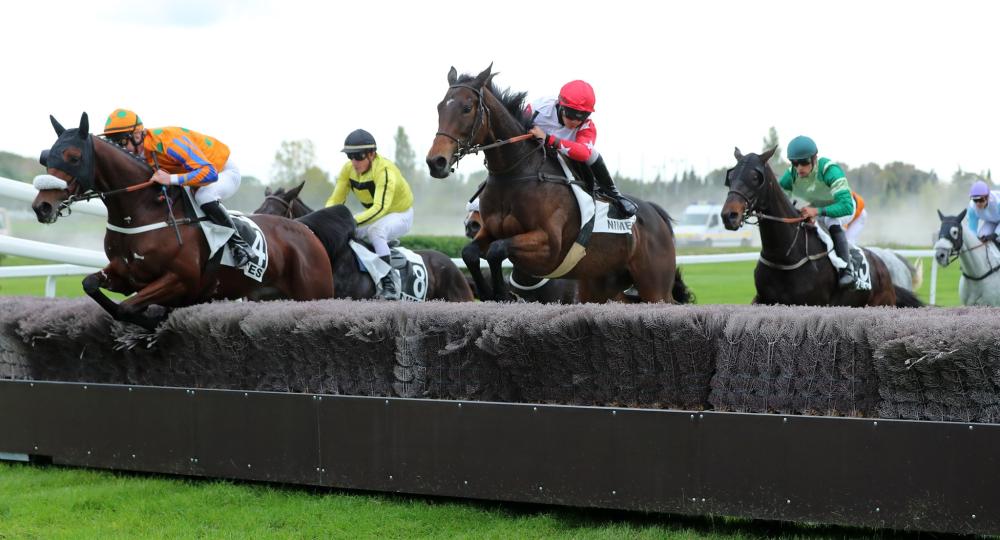 L'Hippodrome de Nîmes, dans le Gard, obtient sa labellisation EquuRES Hippodrome à l'échelon Engagement !