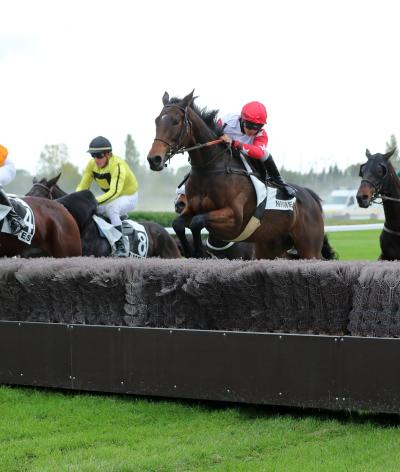 L'Hippodrome de Nîmes, dans le Gard, obtient sa labellisation EquuRES Hippodrome à l'échelon Engagement !