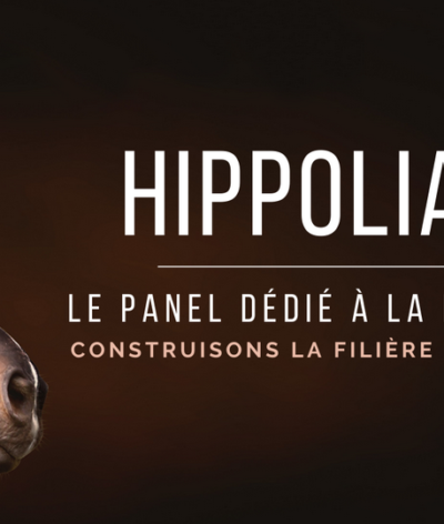 La rubrique du pôle Hippolia: fers, quel matériaux choisir et pourquoi?