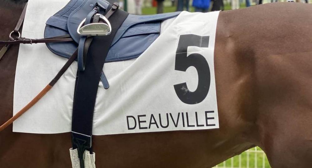 L'Hippodrome de Deauville la Touques, dans le Calvados, renouvelle sa labellisation en passant échelon Progression !