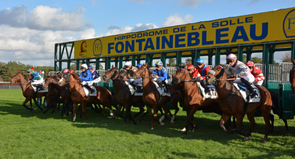 L'Hippodrome de la Solle, situé à Fontainebleau, renouvelle sa labellisation EquuRES à l'échelon Engagement !