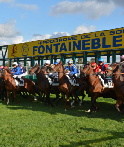 L'Hippodrome de la Solle, situé à Fontainebleau, renouvelle sa labellisation EquuRES à l'échelon Engagement !