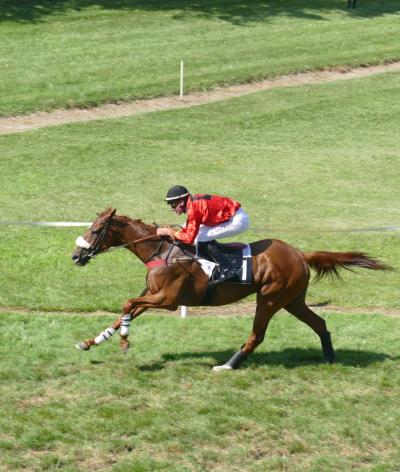 L'hippodrome de Gémozac, situé en Charente Maritime, se labellise au niveau engagement