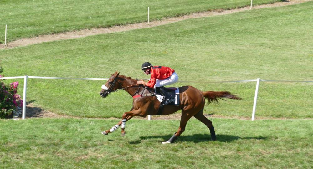 L'hippodrome de Gémozac, situé en Charente Maritime, se labellise au niveau engagement