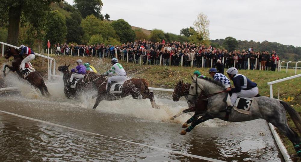 L'hippodrome de Nuillé-sur-Vicoin, en Mayenne, s'engage pour l'environnement et le bien-être des chevaux