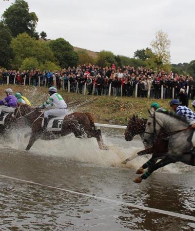 L'hippodrome de Nuillé-sur-Vicoin, en Mayenne, s'engage pour l'environnement et le bien-être des chevaux