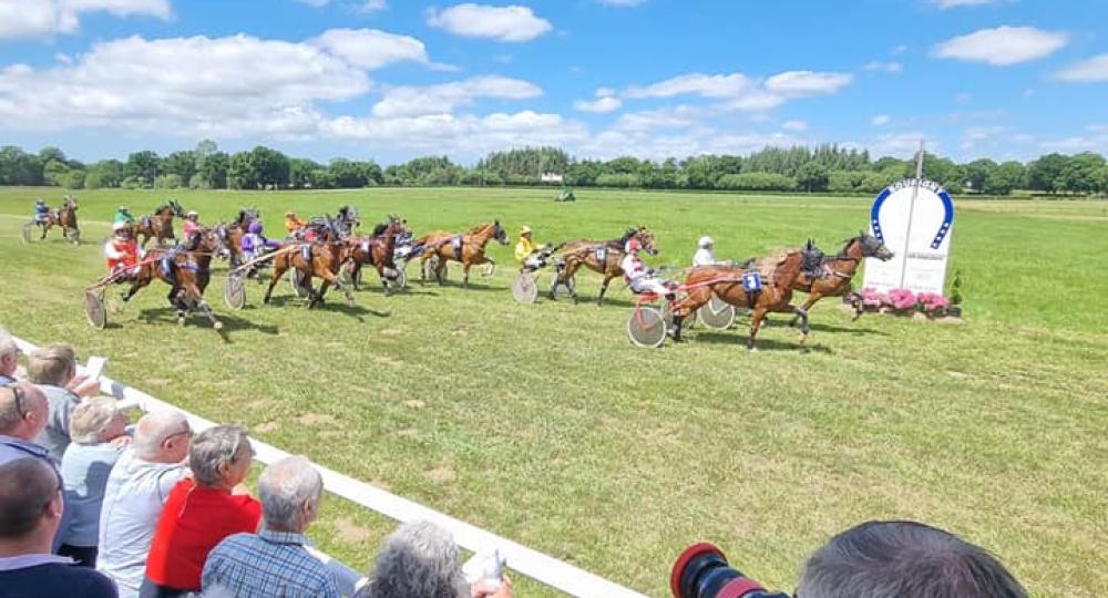 L'hippodrome de Bourigny, dans la Manche, s'engage pour le bien-être des chevaux et pour le respect de l'environnement