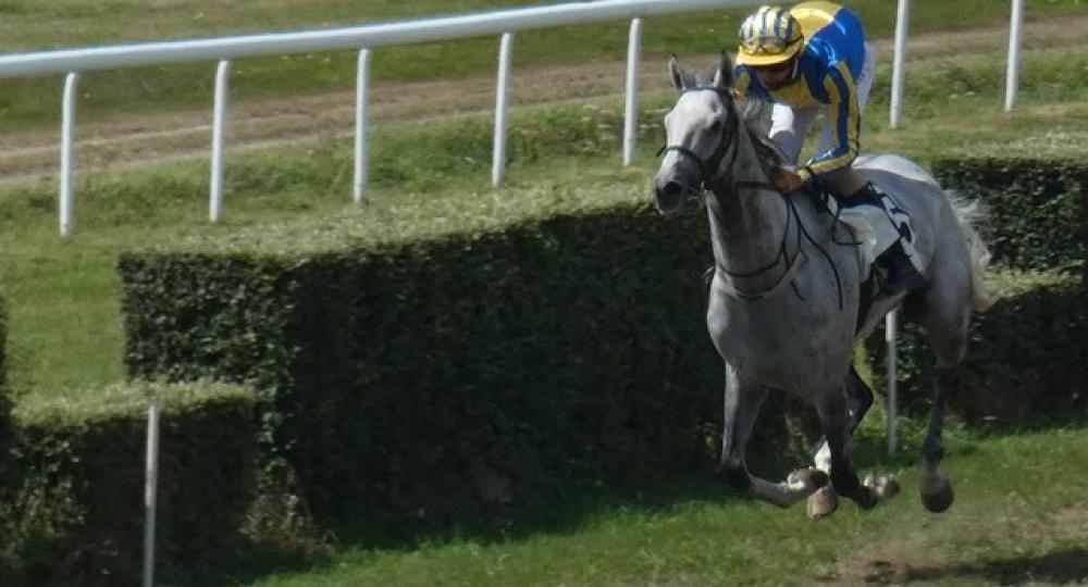 L'hippodrome de Rostrenen, dans les Côtes-d'Armor, s'engage pour l'environnement et le bien-être animal