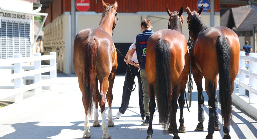 L'hippodrome de Caen, dans le Calvados, labellisé EquuRES