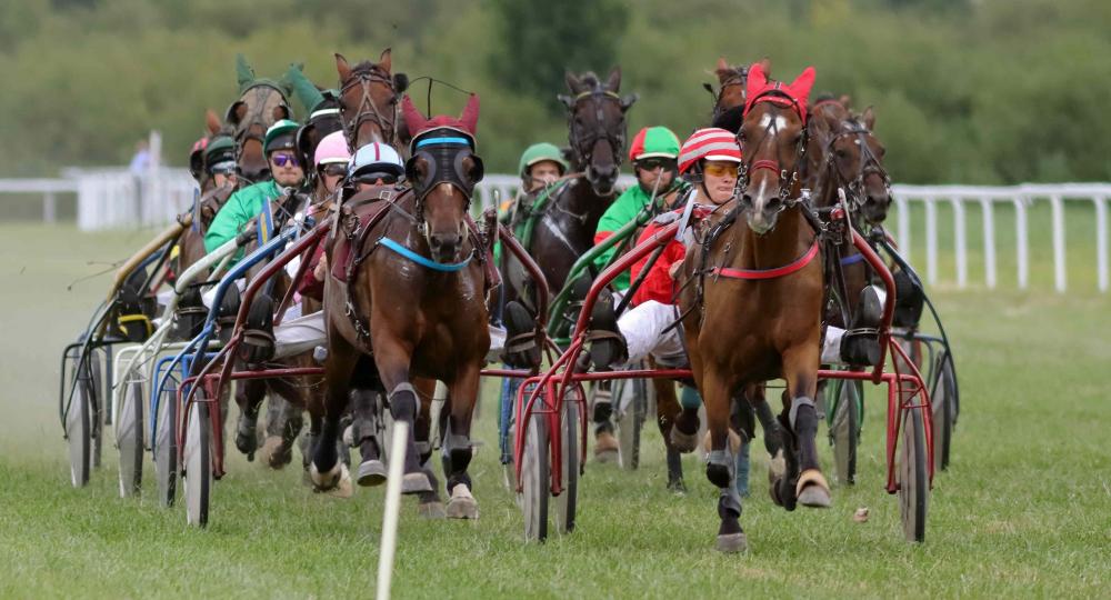 L'Hippodrome de la Rive, situé à Redon, obtient sa labellisation EquuRES à l'échelon Engagement !