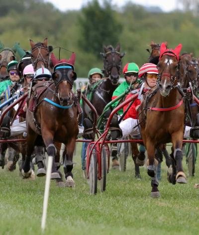 L'Hippodrome de la Rive, situé à Redon, obtient sa labellisation EquuRES à l'échelon Engagement !