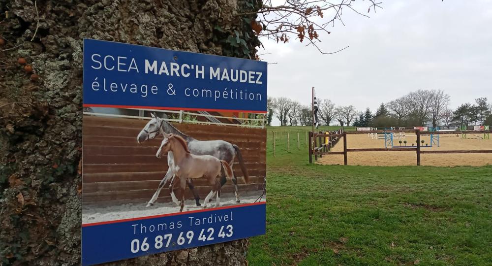 La SCEA Marc'h Maudez, en Bretagne, renouvelle sa labellisation EquuRES !