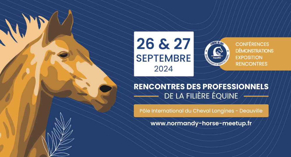 Normandy Horse Meet'Up, on vous dévoile le programme !