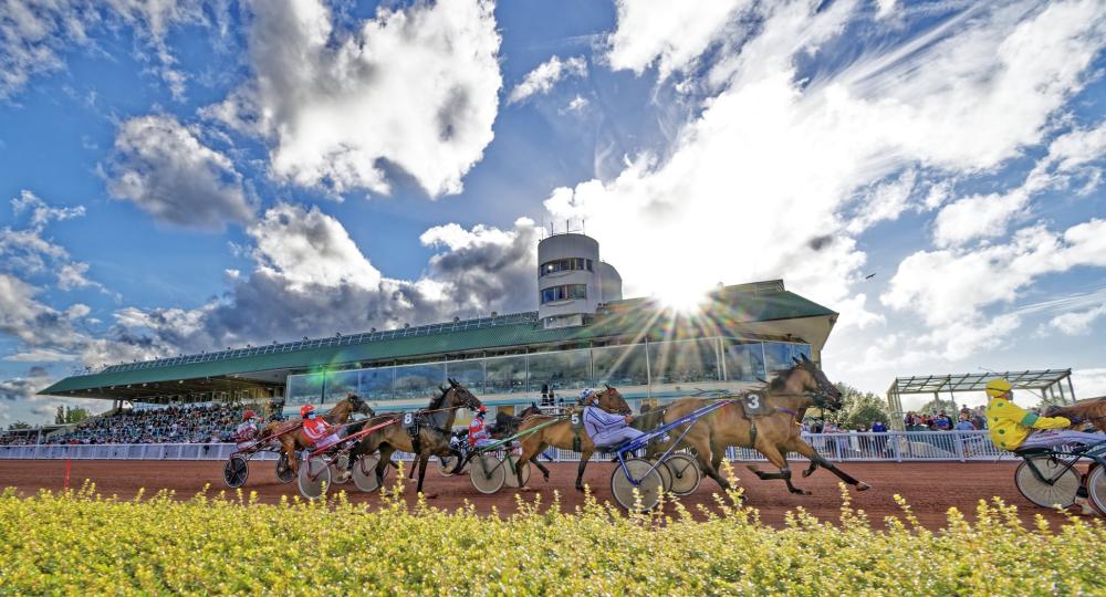 L'hippodrome de Cabourg, dans le Calvados, renouvelle sa labellisation à l'échelon progression