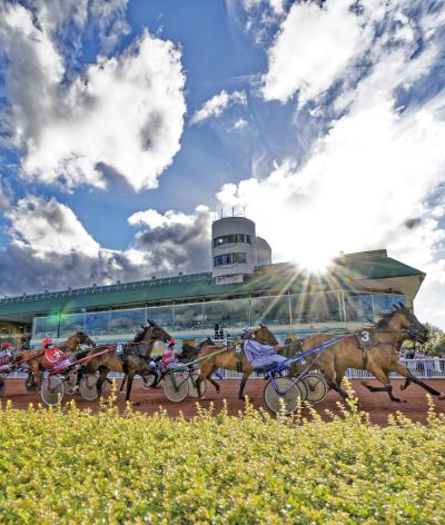 L'hippodrome de Cabourg, dans le Calvados, renouvelle sa labellisation à l'échelon progression