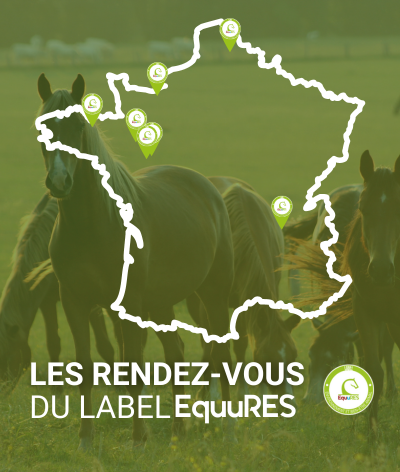 Les rendez-vous du label EquuRES